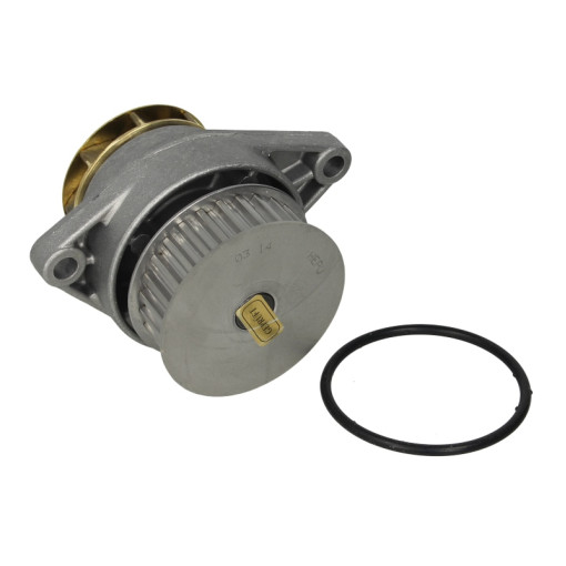 Насос охлаждающей жидкости AUDI A2; SEAT LEON, TOLEDO II; VW BORA, BORA I, GOLF IV, LUPO I, POLO, POLO III 1.6 09.98-06.06