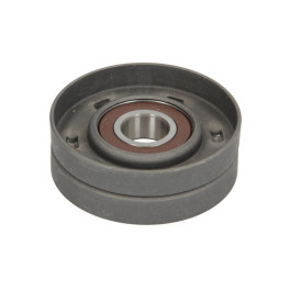 Натяжний ролик пасу AUDI A3; SEAT INCA, LEON, TOLEDO II; SKODA OCTAVIA I; VW BORA, BORA I, CADDY II, CADDY II/MINIVAN, GOLF IV, NEW BEETLE, POLO, POLO III CLASSIC 1.9D 11.95-03.10