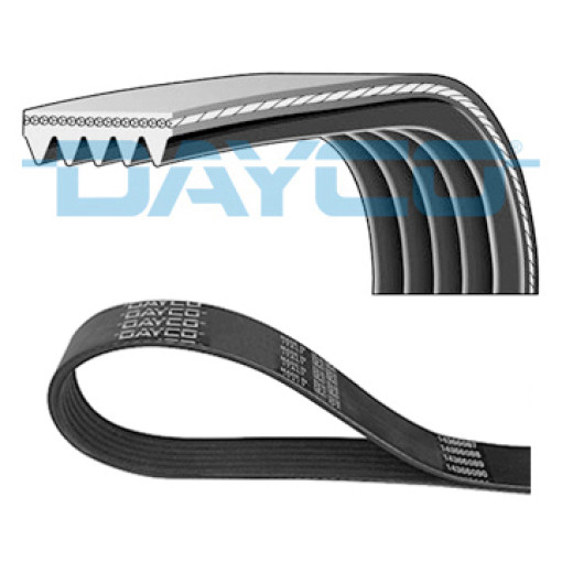 Поликлиновый ремень (5PK1145) FIAT 500, 500 C, BRAVO II, DOBLO, DOBLO/MINIVAN, IDEA, PANDA, PUNTO, STILO; FORD KA, KA+ III; HONDA JAZZ II; LANCIA MUSA