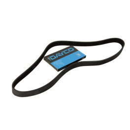 Поликлиновый ремень (6PK1736) AUDI A1, A3; CITROEN C5 I, JUMPY, XANTIA, XSARA; FIAT SCUDO; PEUGEOT 1007, 206, EXPERT; SEAT ALTEA, ALTEA XL, CORDOBA, I