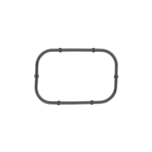 Прокладка впускного коллектора CHRYSLER 200, 300C, VOYAGER V; DODGE AVENGER, CHALLENGER, CHARGER, DURANGO, GRAND, JOURNEY; FIAT FREEMONT; JEEP CHEROKEE, GRAND CHEROKEE 3.2-3.6LPG 09.10-