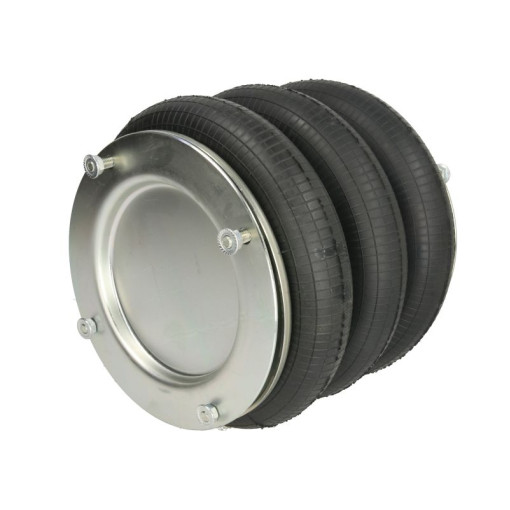 Пневморесора в зборі 4810NP08 (тип 2918V) SAF 3228102700