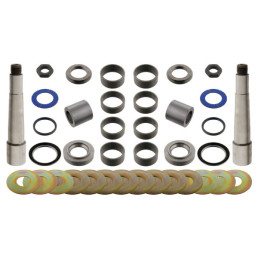 Ремкомплект шкворня на 2 сторони 31,5мм/50ммx254мм) DAF 65 CF, 75 CF, 85 CF, CF, CF 65, CF 75, CF 85, LF, LF 55, XB, XBC, XD, XF 105, XF 106, XF 95, XF II, XG, XG+ 02.98-