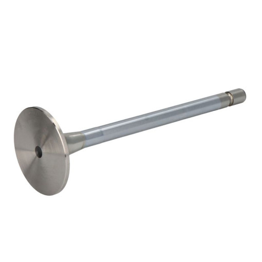 Клапан впускнbй MB (OM501/OM502)