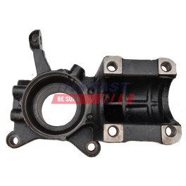 Цапфа Fiat Ducato 02 передний левый Q18/Q20 90 Mm  Fiat Ducato 244 02-