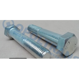Болт M20x110/2,5 DIN 931/10.9 SW30 оцин