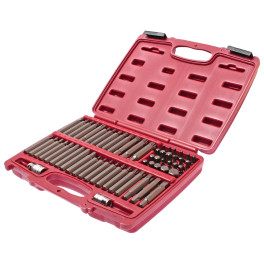 Набір біт TORX, HEX, SPLINE, RIBE, SQ 58од. Набір біт TORX, HEX, SPLINE, RIBE, SQ 58од.