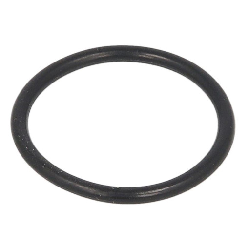 Кільце стакана  форсунки DAF 106