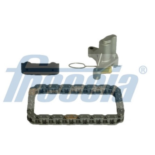 Комплект приводной цепи распредвала Citroen: C4, C5, C8, DS4, DS5, Evasion, Jumpy: - Fiat: Scudo, Ulysse: - Ford: C-Max, Focus, Galaxy, Grand C-Max