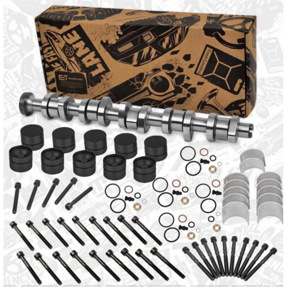 Розподільчий вал (комплект) Volkswagen Touareg 1 (7L) 2002-2010, Transporter / Caravelle / Multivan T5 2003-2015