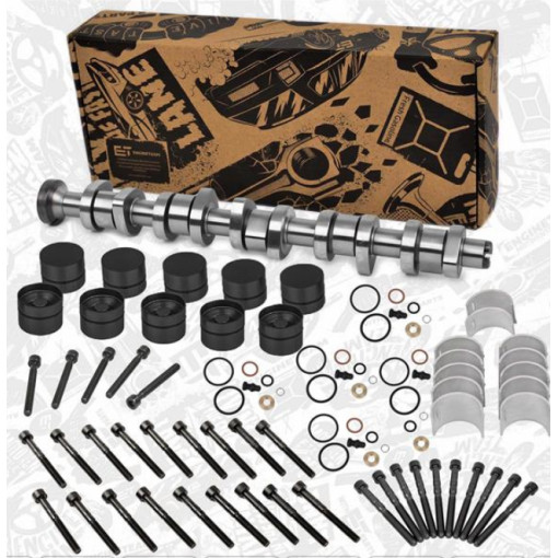 Розподільчий вал (комплект) Volkswagen Touareg 1 (7L) 2002-2010, Transporter / Caravelle / Multivan T5 2003-2015