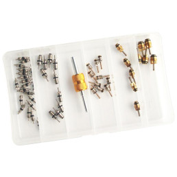 Набір клапанів, ((EN) for A/C instalation/system / (EN) for service valve), застосування - пристрої: для станції кондиціонування, 51шт