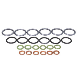 Комплект уплотнений форсунки (6 шт) Mercedes ACTROS 5419970645