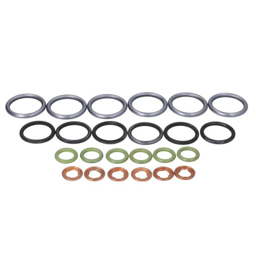 Комплект уплотнений форсунки (6 шт) Mercedes ACTROS 5419970645